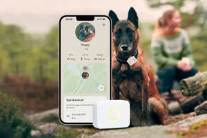 جلوگیری از گم‌شدن حیوانات با ردیاب شخصی چگونه امکان‌پذیر است؟